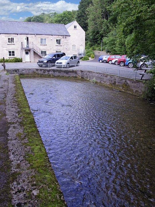 Spring Mill river view